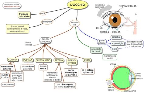 Mappe per la Scuola .